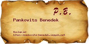Pankovits Benedek névjegykártya