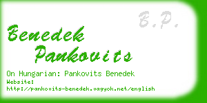 benedek pankovits business card